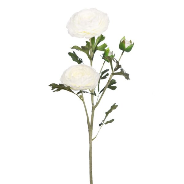 VARA RANUNCULO - Imagen 1