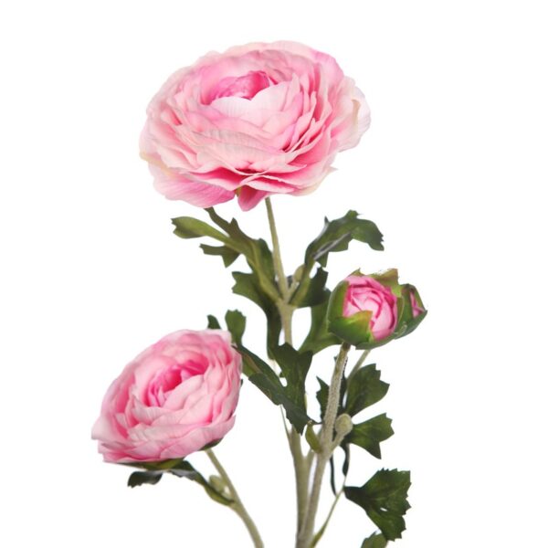 VARA RANUNCULO - Imagen 6