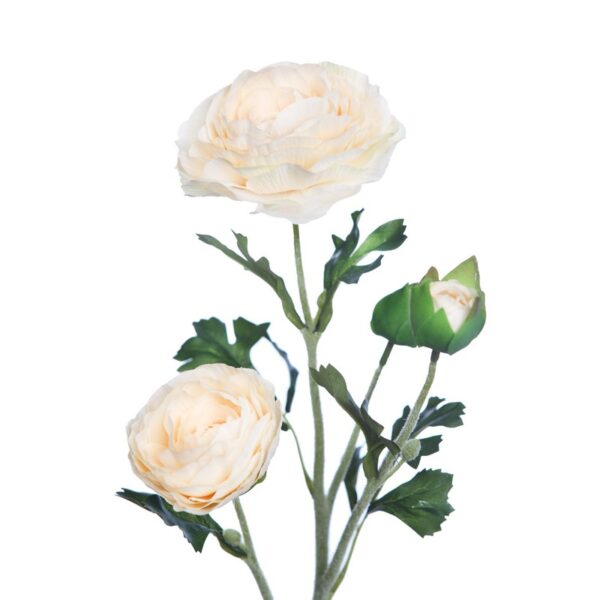 VARA RANUNCULO - Imagen 8