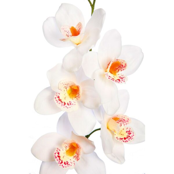 VARA CIMBIDIUM 70 CM - Imagen 2