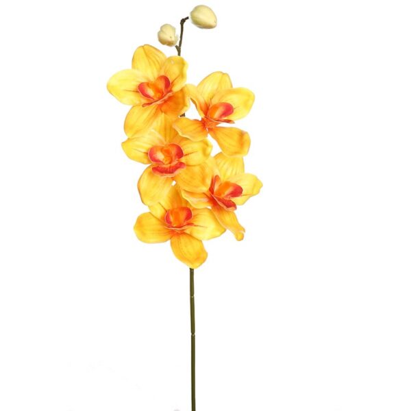 VARA CIMBIDIUM 70 CM - Imagen 3