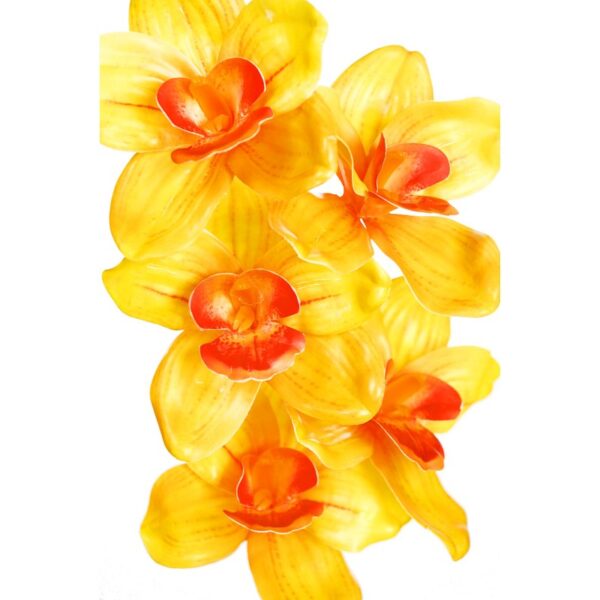 VARA CIMBIDIUM 70 CM - Imagen 4