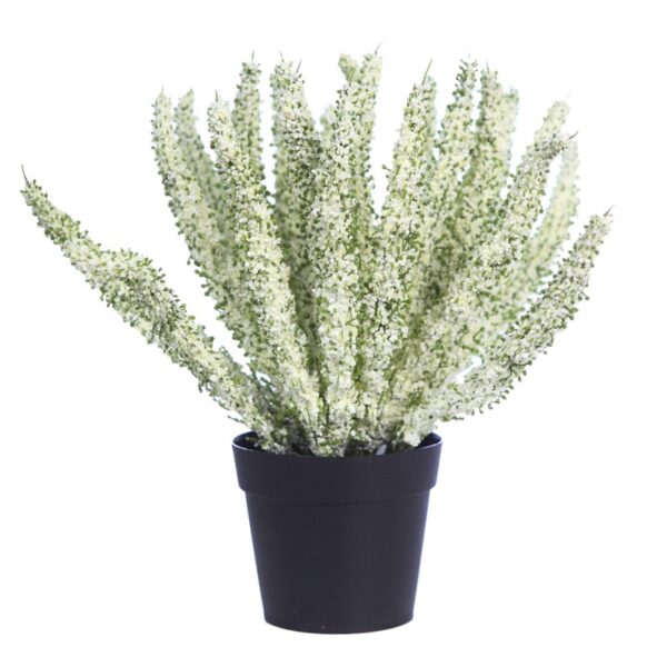 PLANTA BREZO CON MACETA 26CM - Imagen 1