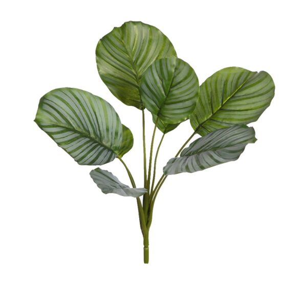 PLANTA CALATHEA ARTIFICIAL 46CM - Imagen 1