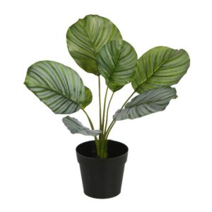 CALATHEA EN MACETA ARTIFICIAL 36CM