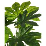 PLANTA ARALIA ARTIFICIAL 67CM - Imagen 2