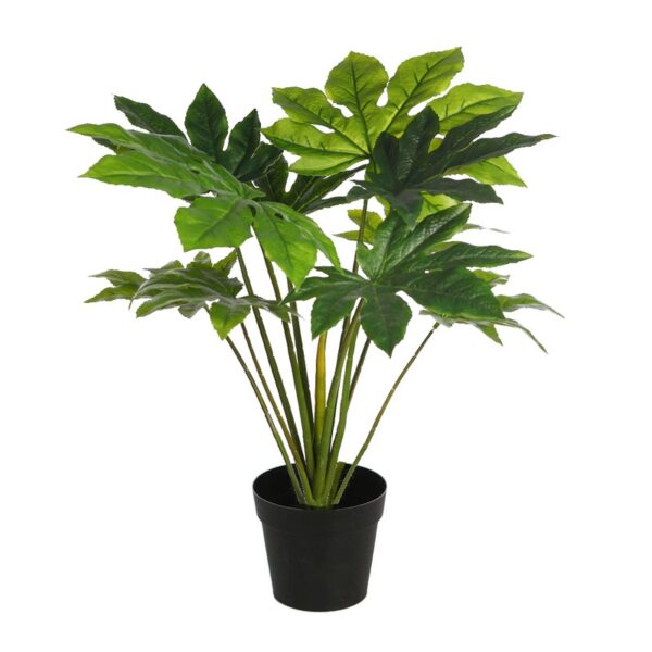 PLANTA ARALIA ARTIFICIAL EN MACETA 60CM - Imagen 1