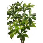 PACHIRA ARTIFICIAL CON MACETA 150CM - Imagen 2