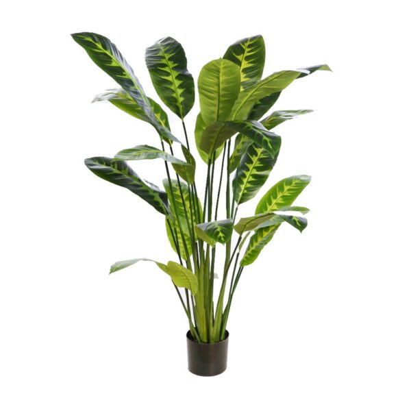 DIFEMBACHIA ARTIFICIAL EN MACETA 120CM - Imagen 1