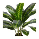 PLANTA DIFEMBACHIA ARTIFICIAL 70CM - Imagen 2