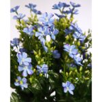 BOUQUET CALANCHOE ARTIFICIAL 58CM - Imagen 4