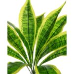 PLANTA DIFFEMBACHIA CON MACETA ARTIFICIAL 40CM - Imagen 2