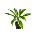 MACETA DE DRACENA ARTIFICIAL 40CM