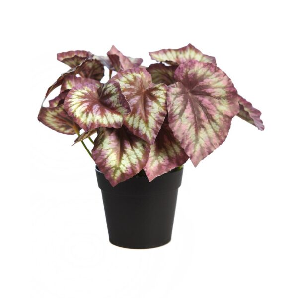 AD0776M.BX2_0 MACETA COLEO ARTIFCIAL 25CM - Imagen 1