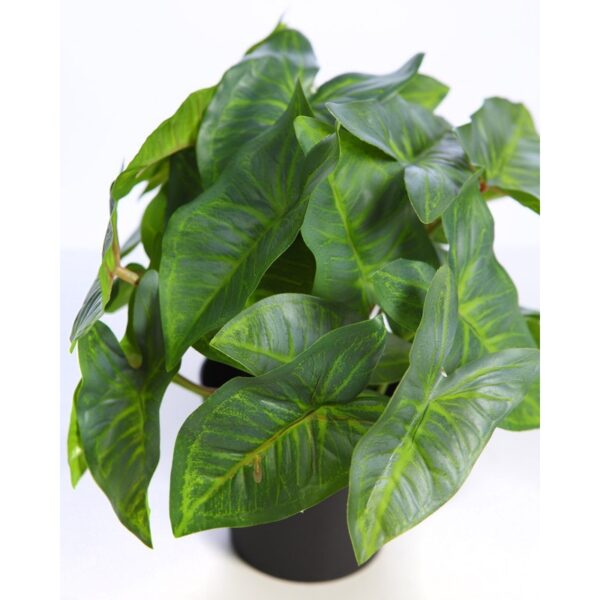 MACETA SINGONIO ARTIFICIAL 25CM - Imagen 2