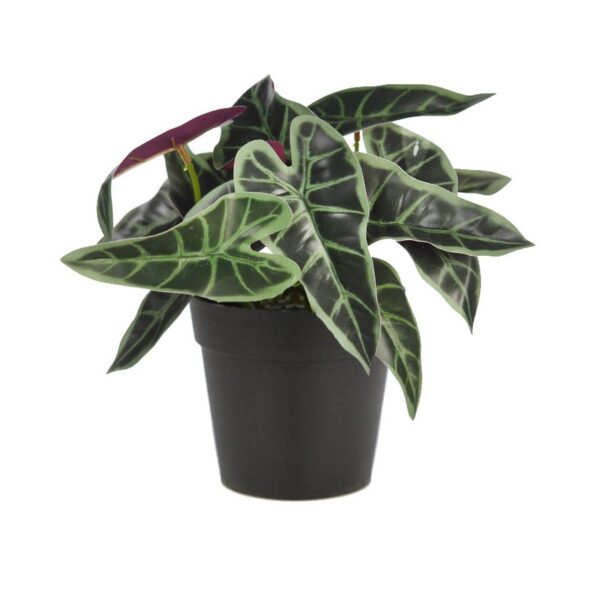 AD0776M.GX2_0 MACETA SINGONIO FLECHA 25CM - Imagen 1