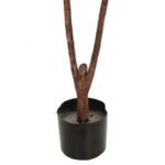 FICUS LYRATA EN MACETA 120CM - Imagen 3