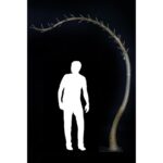 TRONCO ARTIFICIAL 265CM - Imagen 2