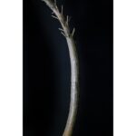 TRONCO ARTIFICIAL 265CM - Imagen 3