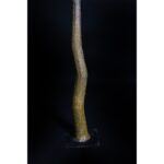 ARBOL DE BOUGANVILLA ARTIFICIAL 300CM - Imagen 4