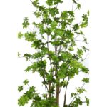 ENKIANTHUS ARTIFICIAL CON MACETA 180CM - Imagen 2