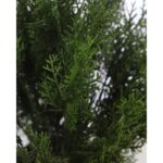 SETO TUYA ARTIFICIAL 50CM - Imagen 2