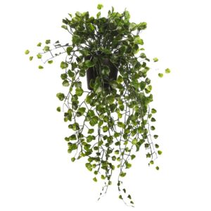 MACETA COLGANTE DICHONDRA VERDE 49CM