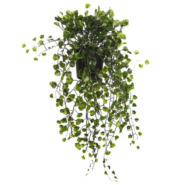 MACETA COLGANTE DICHONDRA VERDE 49CM - Imagen 1