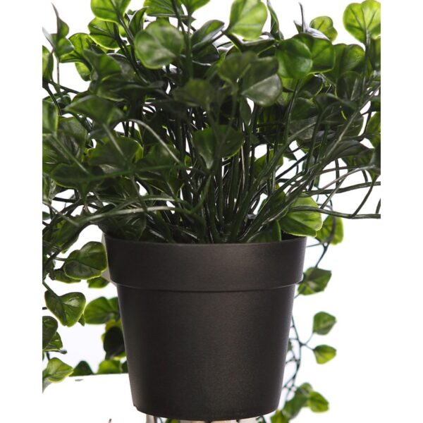 MACETA COLGANTE DICHONDRA VERDE 49CM - Imagen 3