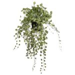 MACETA COLGANTE DICHONDRA ARTIFICIAL 49CM