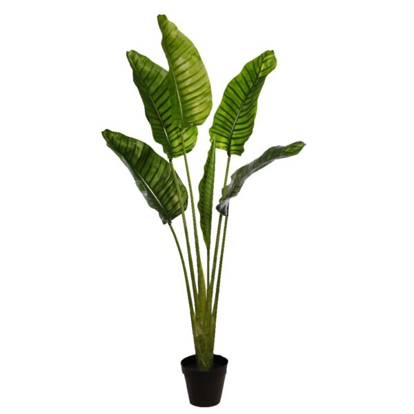 PALMERA ARTIFICIAL RAVENALA 160CM - Imagen 1