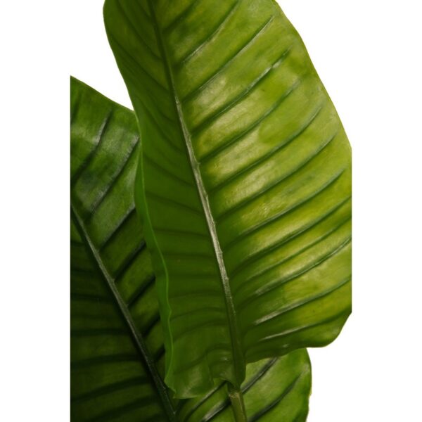 PALMERA ARTIFICIAL RAVENALA 160CM - Imagen 3