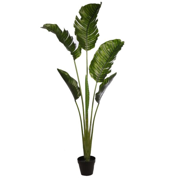 AU0016_0 PALMERA RAVENALA ARTIFICIAL 190CM - Imagen 1