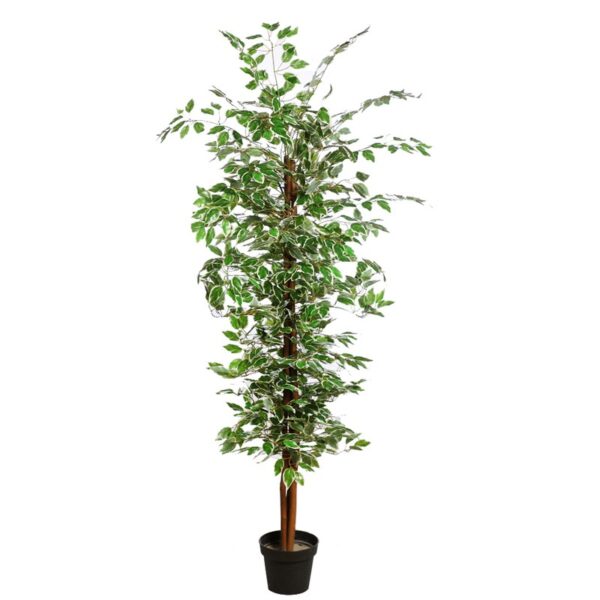 AY0409X36_0 ARBOL FICUS ARTIFICIAL 180CM - Imagen 1