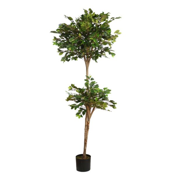 ARBOL DE FICUS RETUSA EN MACETA ARTIFICIAL 180CM - Imagen 1