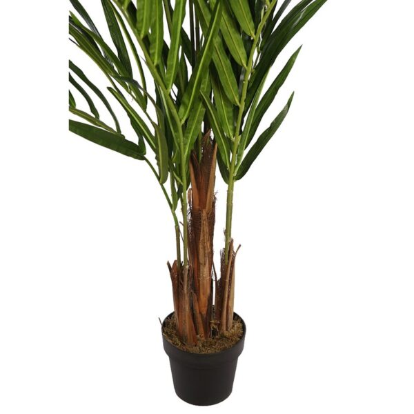 PALMERA KENTIA EN MACETA 170CM - Imagen 3