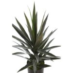 YUCCA ARTIFICIAL EN MACETA 75CM - Imagen 2
