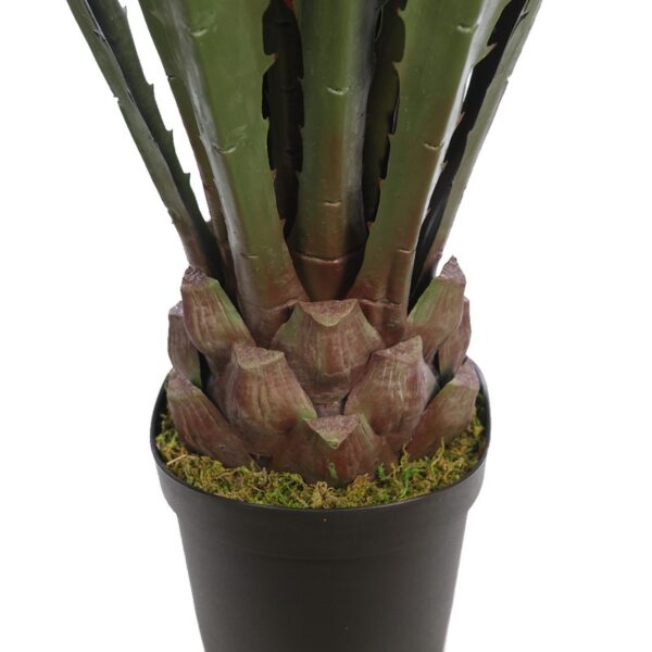 CACTUS AGAVE CON MACETA 125CM - Imagen 2