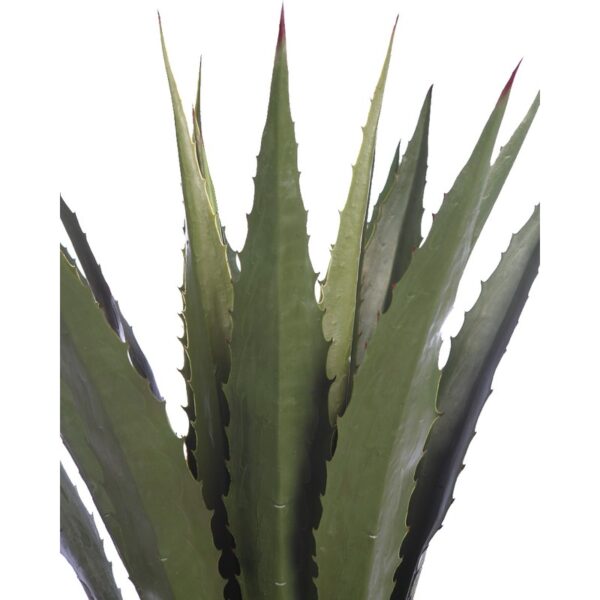 CACTUS AGAVE CON MACETA 125CM - Imagen 3