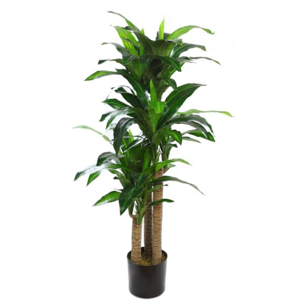 B121TX_0 PLANTA DRACENA ARTIFICIAL 140CM - Imagen 1