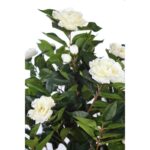 CAMELIA CON FLOR ARTIFICIAL EN MACETA 150CM - Imagen 2