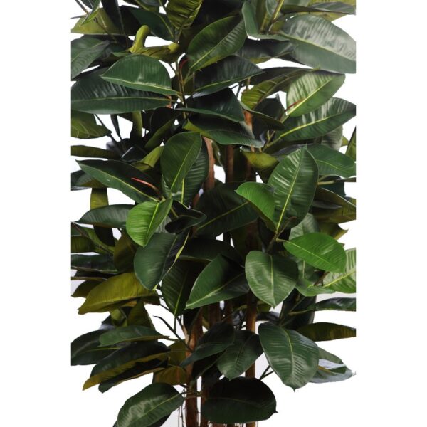 ARBOL DE FICUS ELASTICA ARTIFICIAL CON MACETA 180CM - Imagen 2
