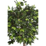 ARBOL FICUS COPA ANCHA CON MACETA 160CM - Imagen 2
