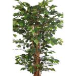 ARBOL FICUS CON MACETA 190CM - Imagen 2