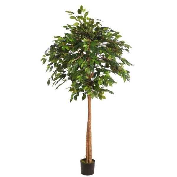 ARBOL COPA FICUS CON MACETA 190CM - Imagen 1