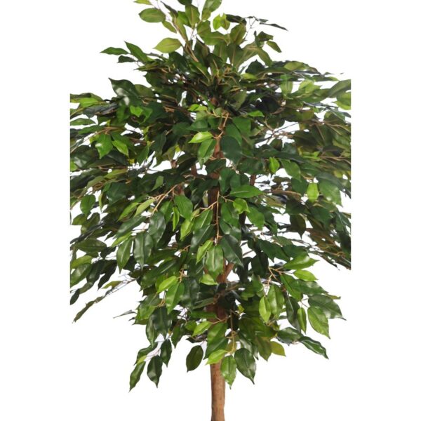 ARBOL COPA FICUS CON MACETA 190CM - Imagen 2