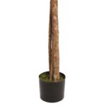 ARBOL COPA FICUS CON MACETA 190CM - Imagen 3