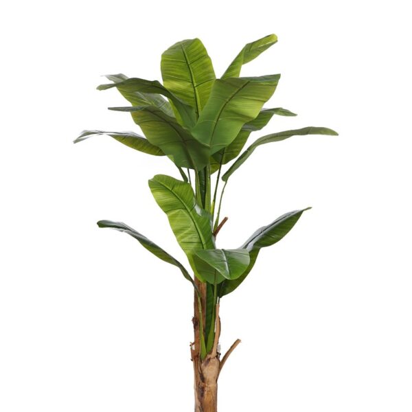 PLATANERA ARTIFICIAL EN MACETA 170CM - Imagen 2