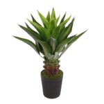 AGAVE EN MACETA 100CM