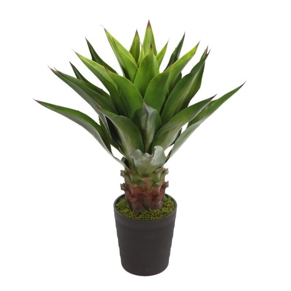 B223TD_0 AGAVE EN MACETA 100CM - Imagen 1